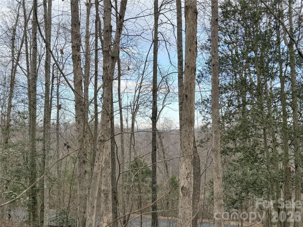 0000 E Rambling Creek Drive #26 Tryon, NC 28782
