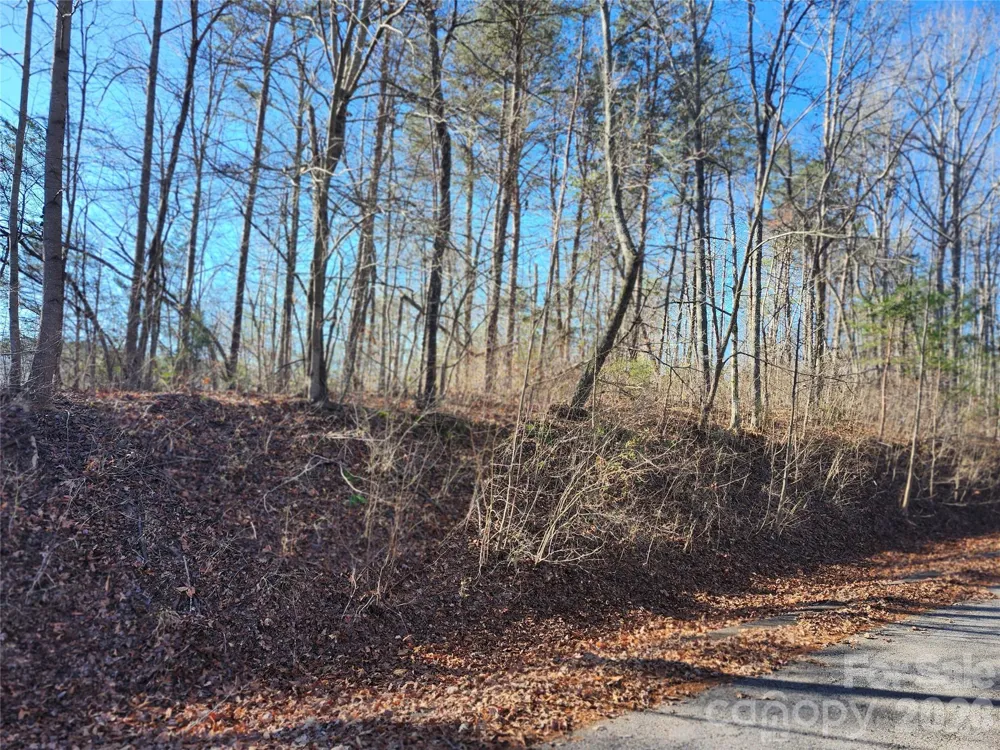 0000 E Rambling Creek Drive #26 Tryon, NC 28782