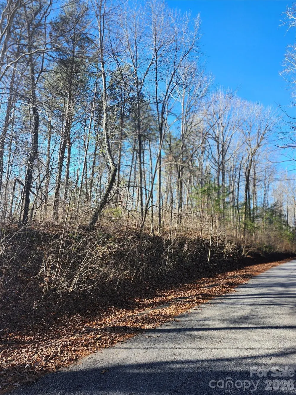 0000 E Rambling Creek Drive #26 Tryon, NC 28782