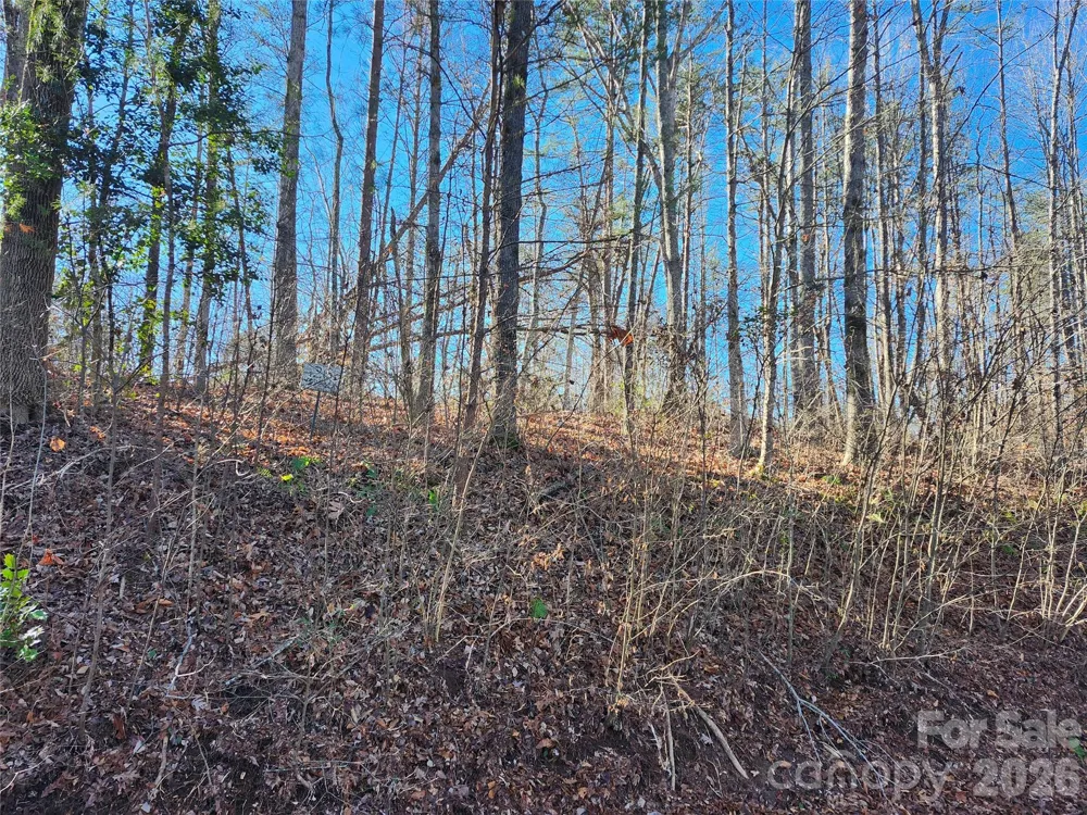 0000 E Rambling Creek Drive #26 Tryon, NC 28782