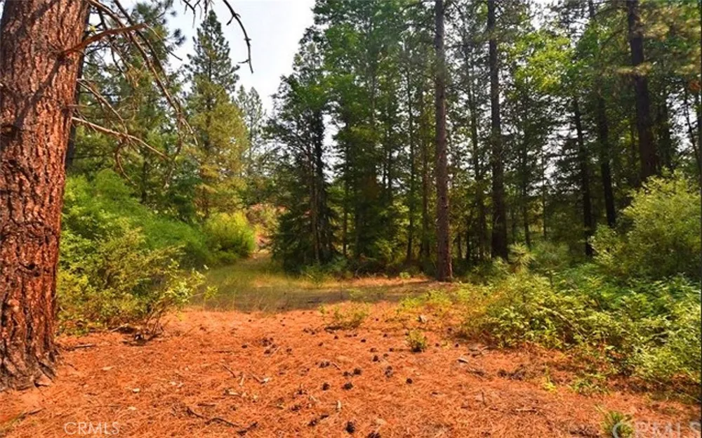 Scott River Road Fort Jones, CA 96032