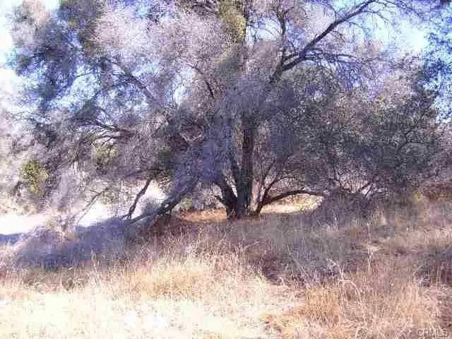 Revis Road Coarsegold, CA 93614