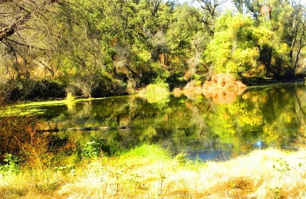 Revis Road Coarsegold, CA 93614