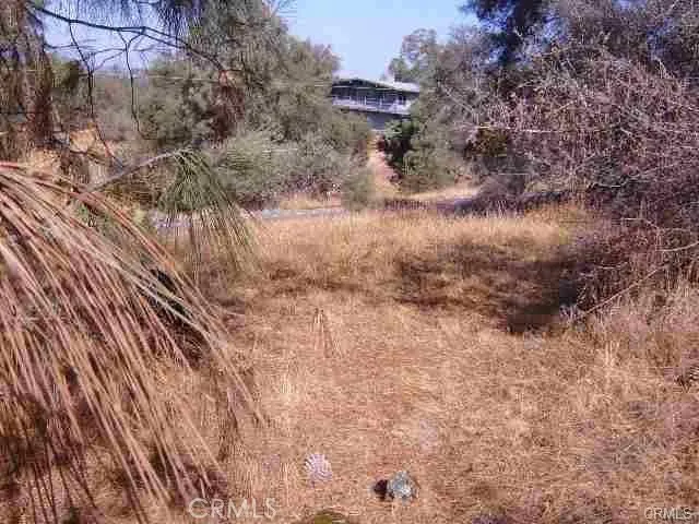Revis Road Coarsegold, CA 93614