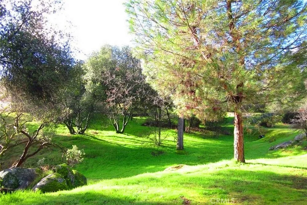 Revis Road Coarsegold, CA 93614