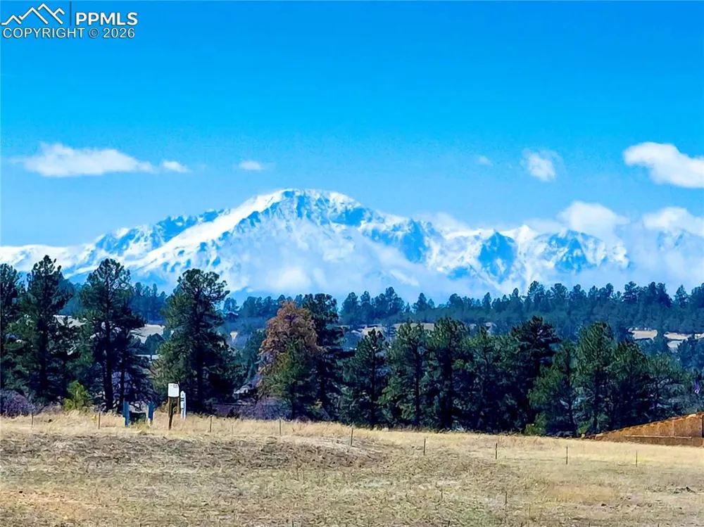 2568 Fox View Trail Franktown, CO 80116