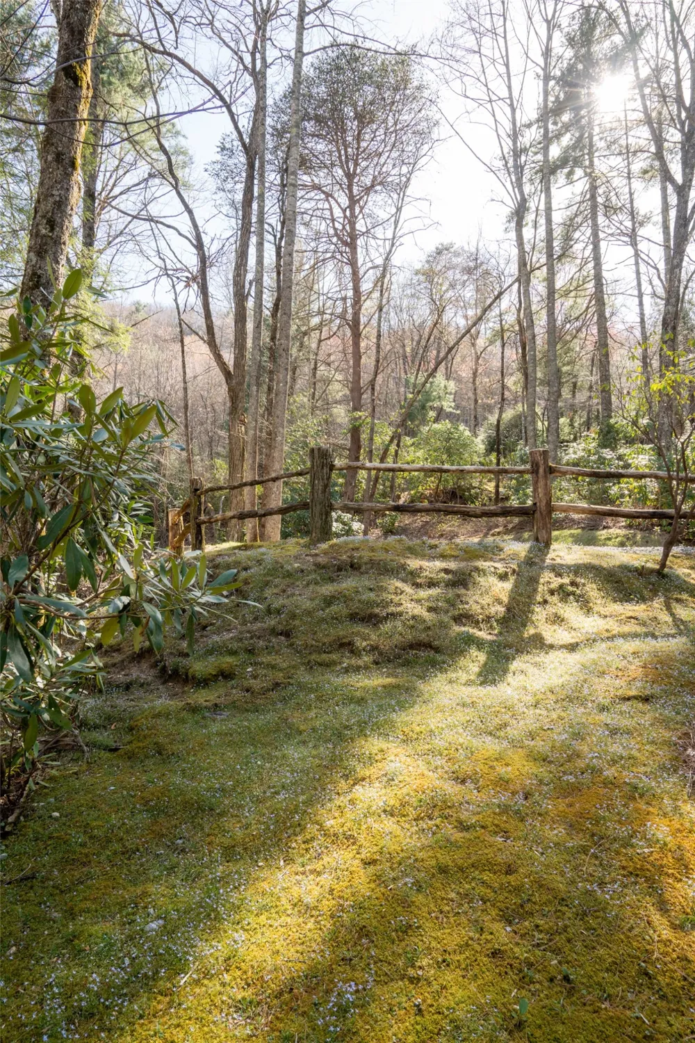 53 Rockytop Drive Cashiers, NC 28717