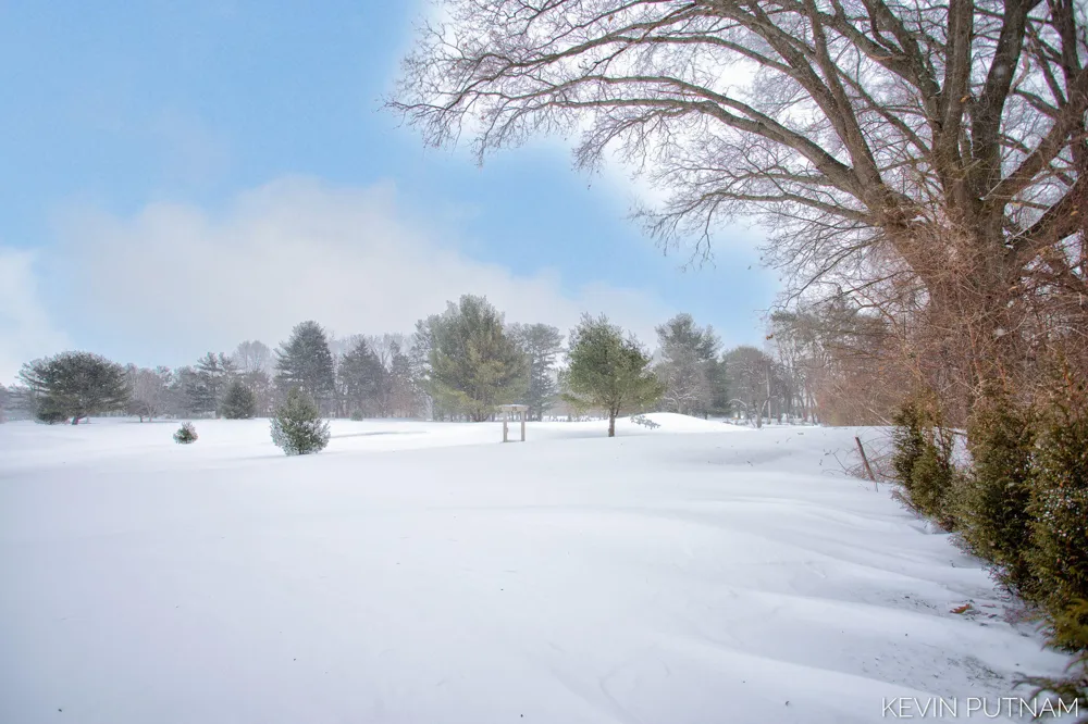 6515 134th Ave Avenue Saugatuck Township, MI 49453