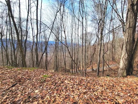 Rimrock Rdg