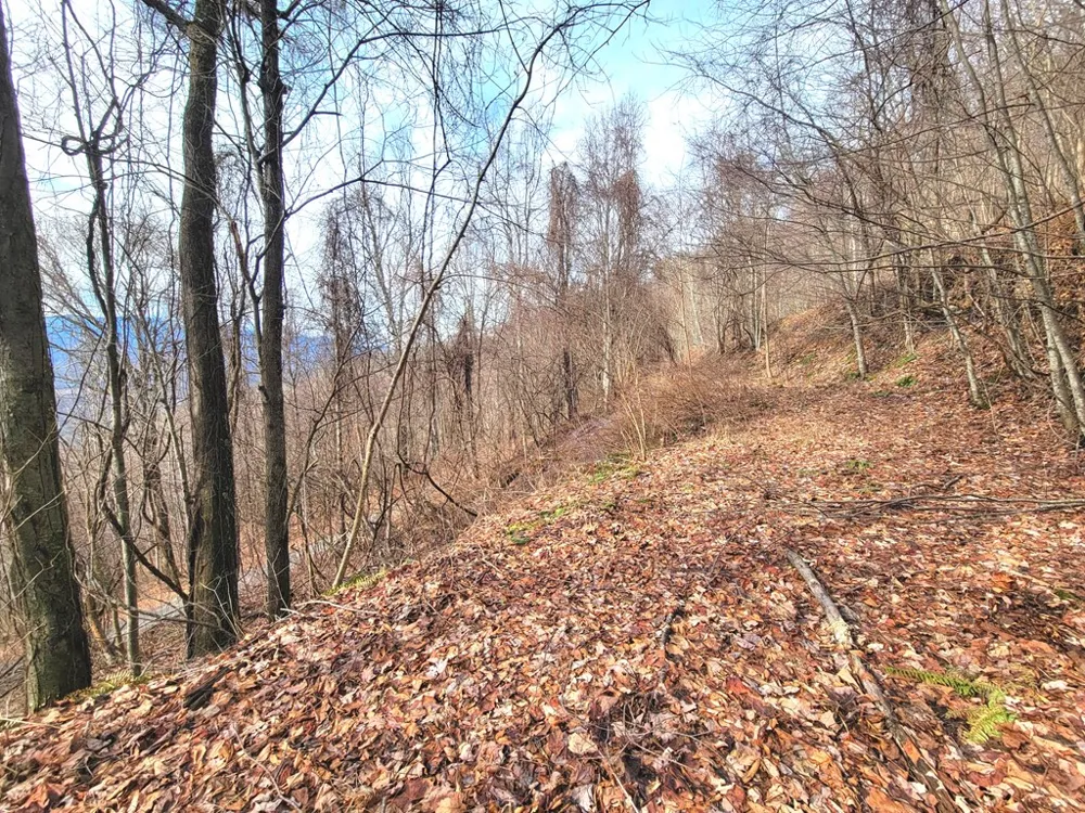 Rimrock Rdg Clyde, NC 28721