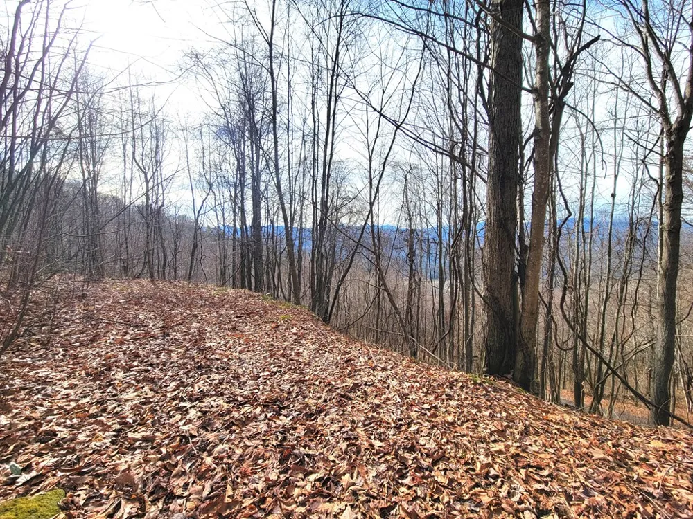 Rimrock Rdg Clyde, NC 28721
