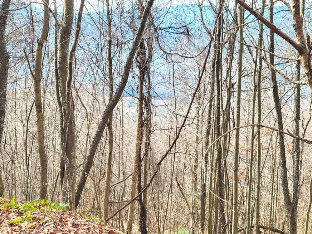 Rimrock Rdg Clyde, NC 28721