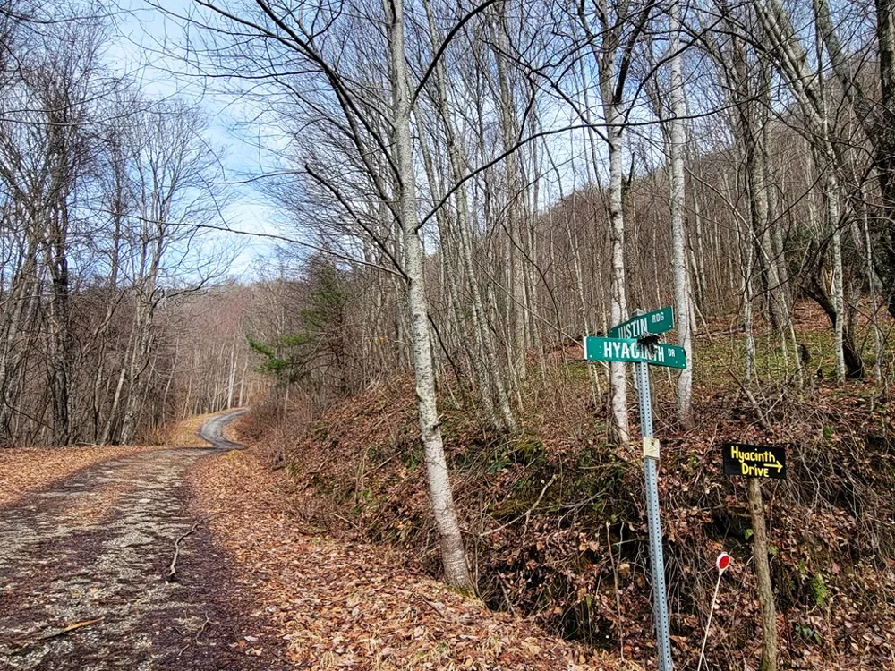 Rimrock Rdg Clyde, NC 28721