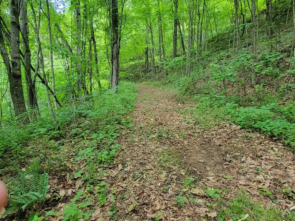 Rimrock Rdg Clyde, NC 28721