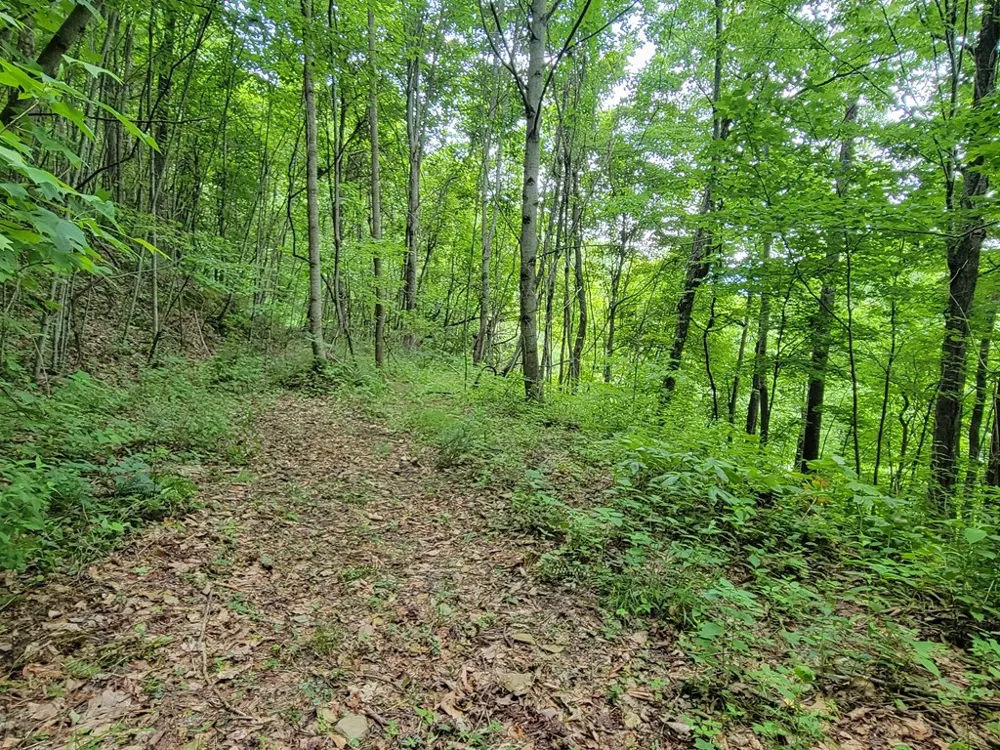 Rimrock Rdg Clyde, NC 28721
