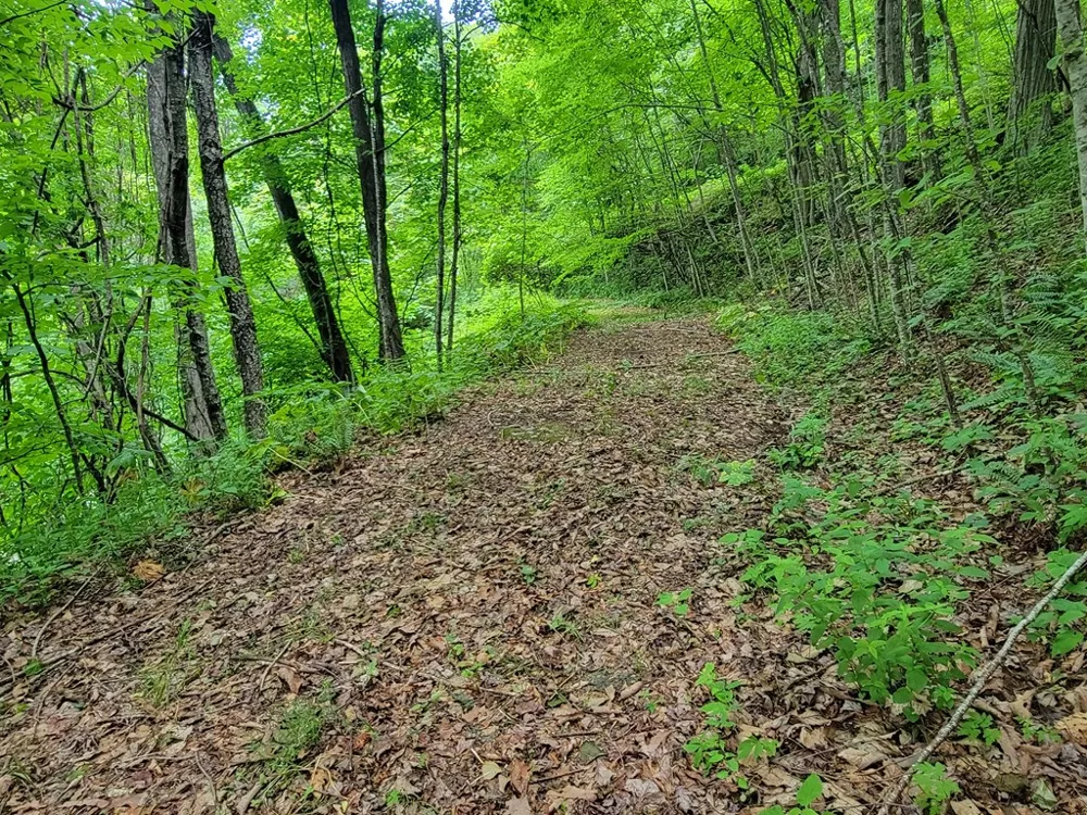 Rimrock Rdg Clyde, NC 28721