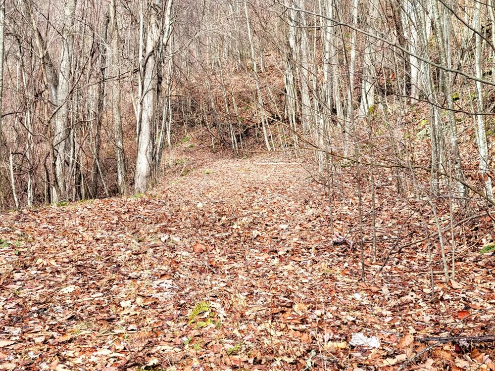 Rimrock Rdg Clyde, NC 28721