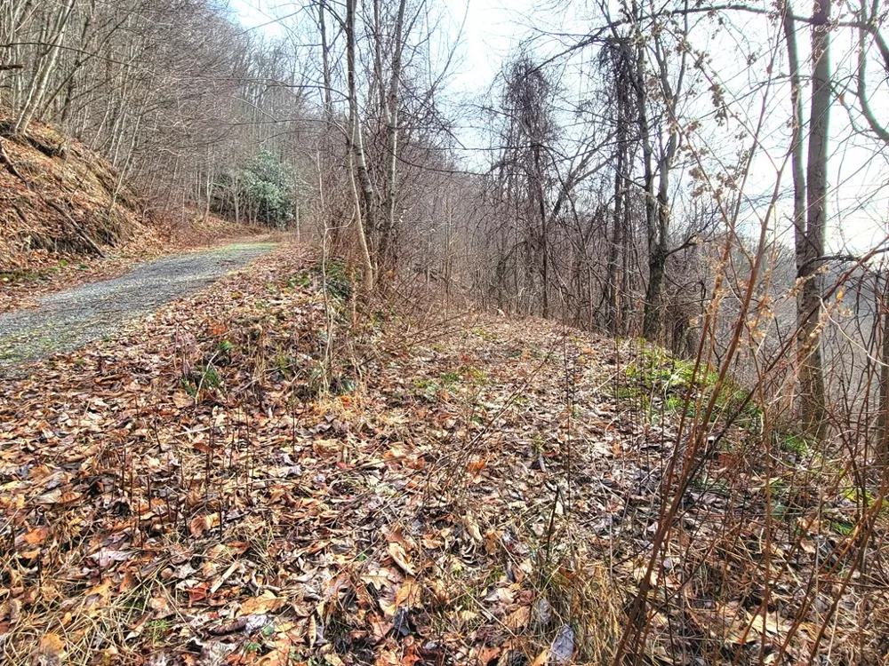 Rimrock Rdg Clyde, NC 28721