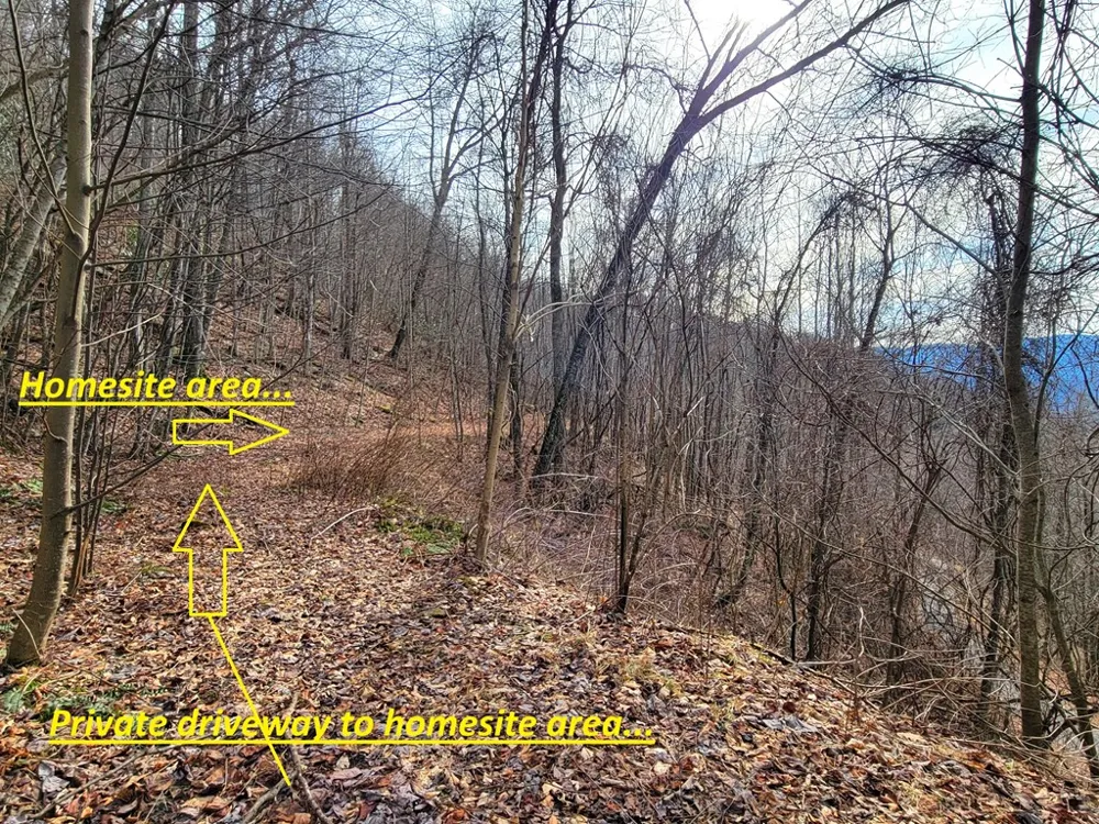 Rimrock Rdg Clyde, NC 28721