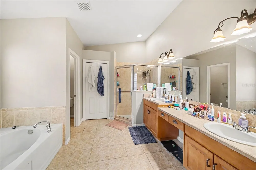 215 FERN GULLEY DRIVE Seffner, FL 33584