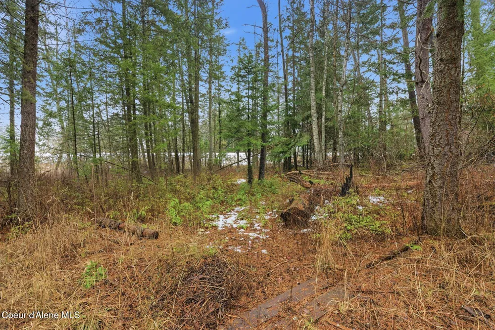 148 Sportsman Access Road Road Cocolalla, ID 83813