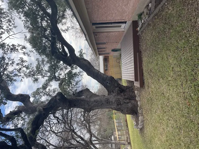 102 W Covington Drive Austin, TX 78753