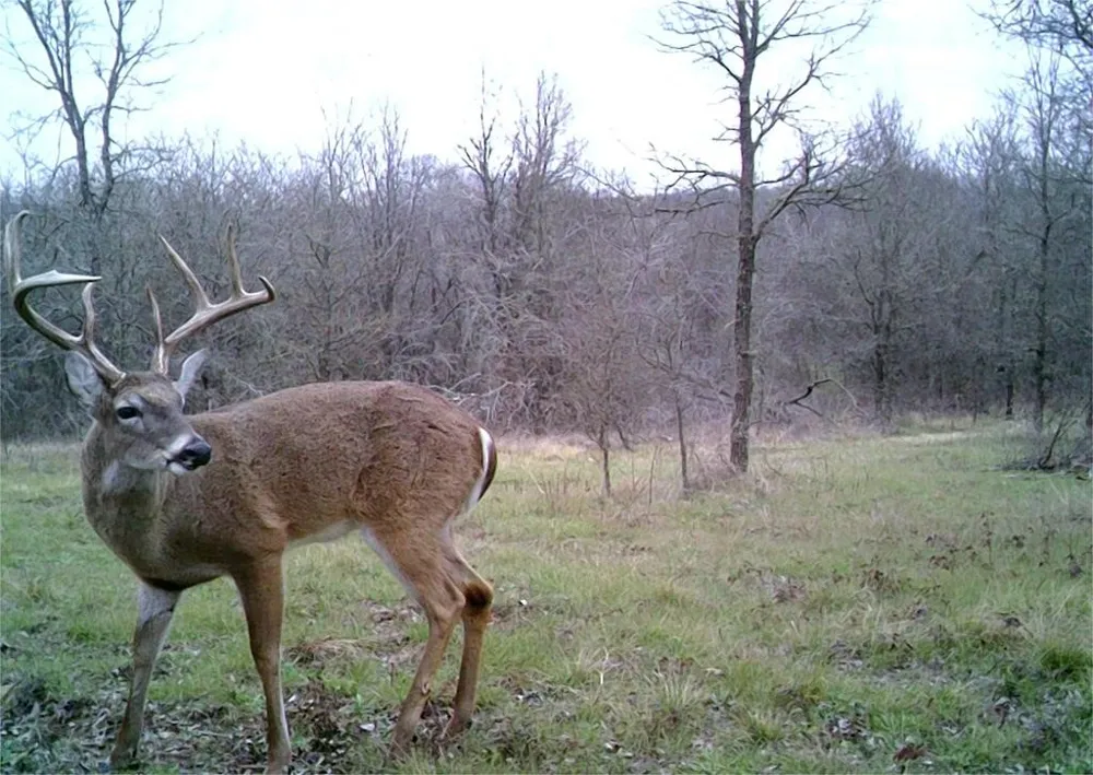 141 County Road 2349