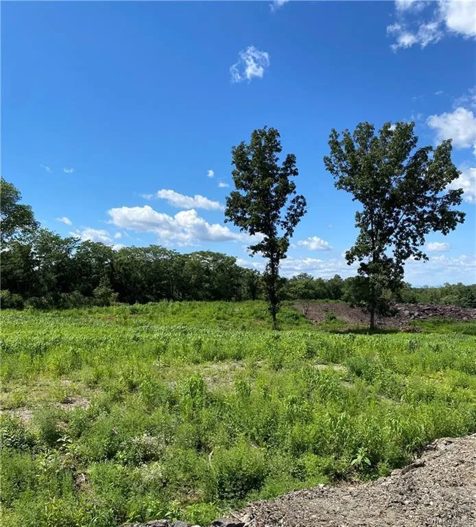 Lot 1 Shadow Court Wappingers Falls, NY 12590