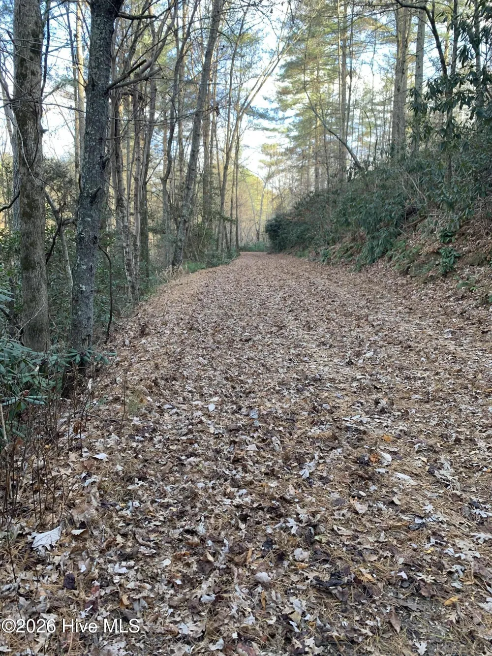0 64 Lenoir, NC 28633