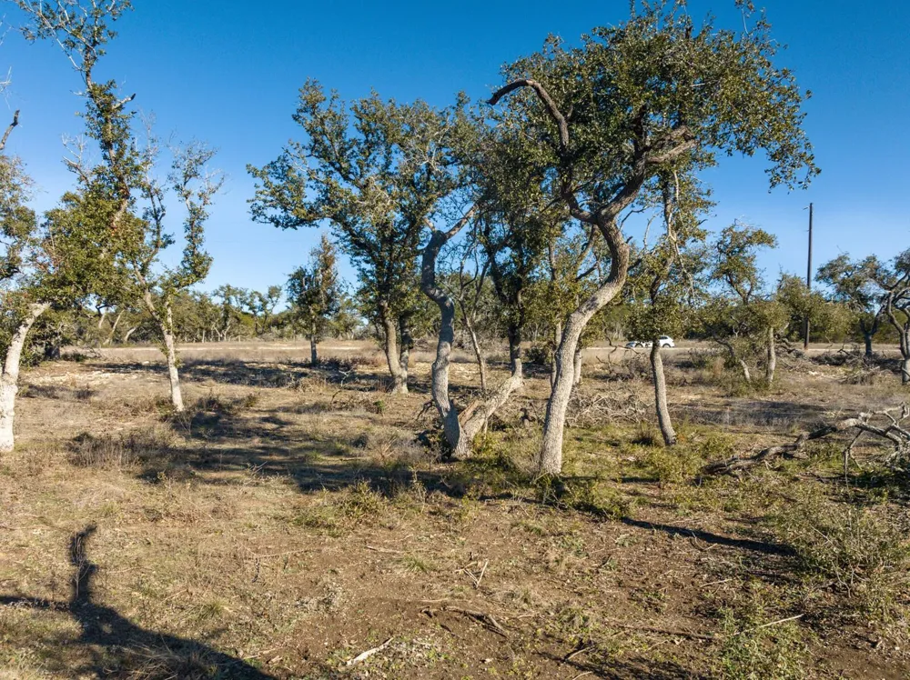 642 Windmill Ridge Drive Blanco, TX 78606
