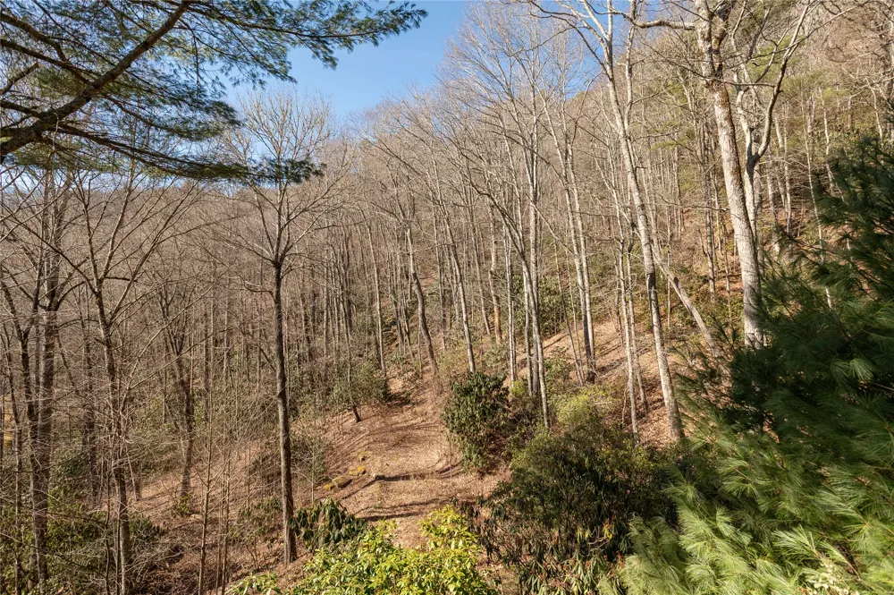 132 Sheepcote Road Cashiers, NC 28717