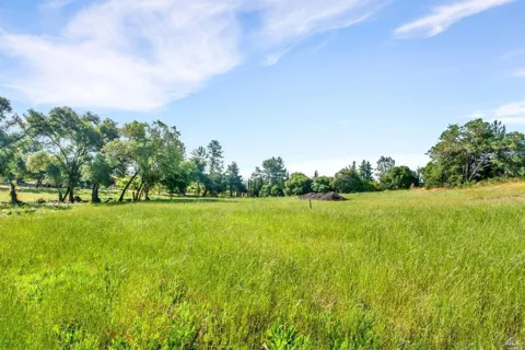 1100 Lytton Springs Road