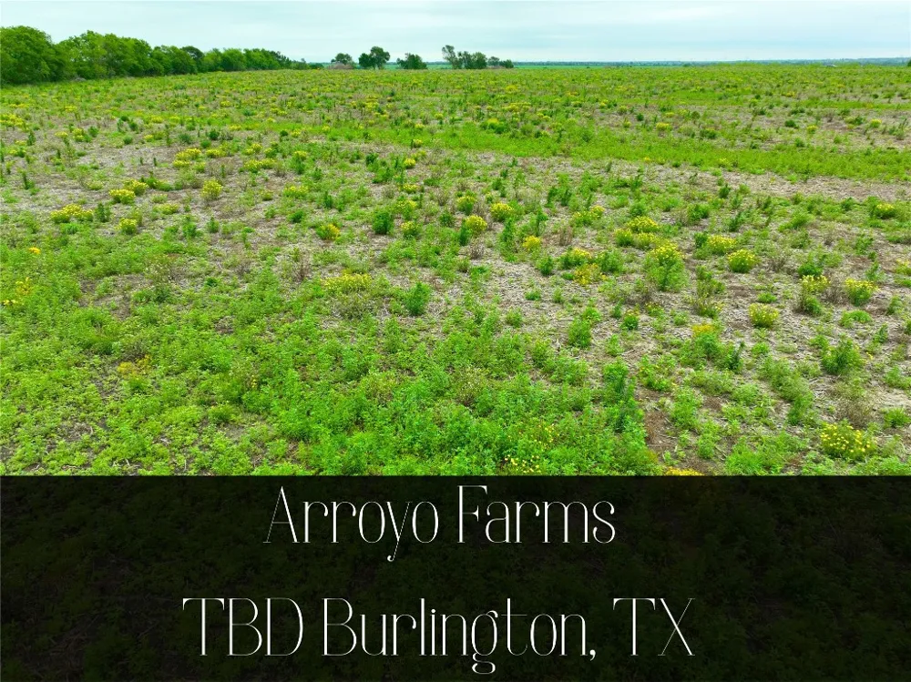 6 132 ROAD Burlington, TX 76518