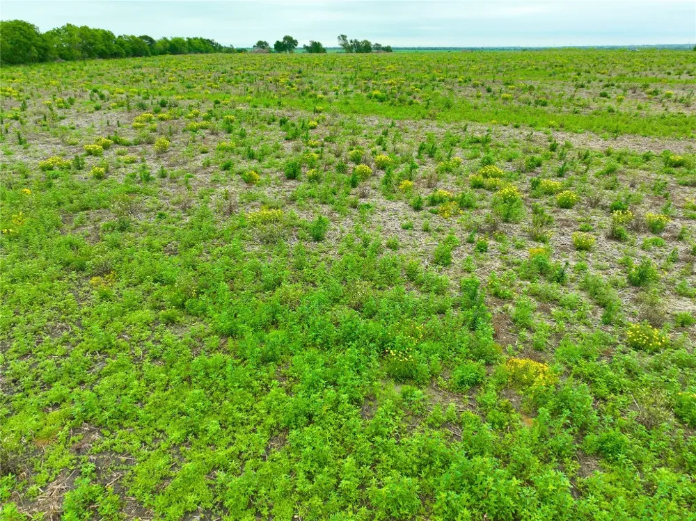 7 132 ROAD Burlington, TX 76518