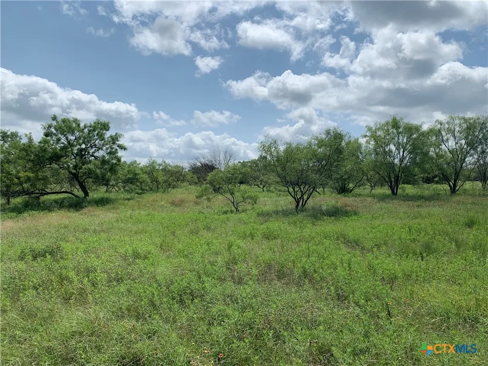2160 Private Road 42110 Evant, TX 76525