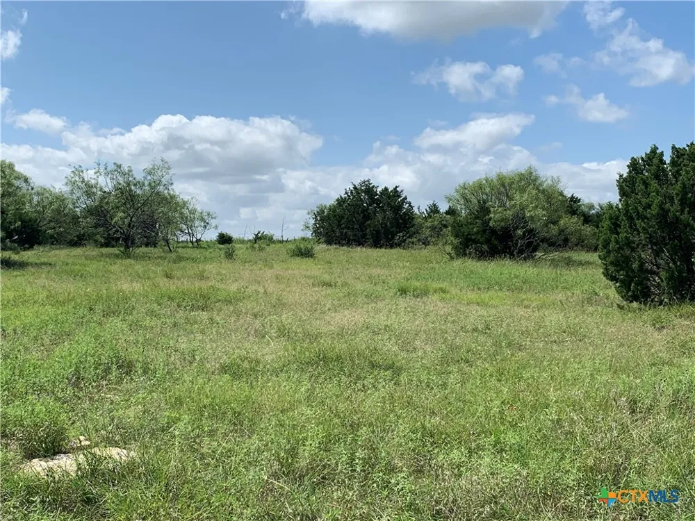 2160 Private Road 42110 Evant, TX 76525