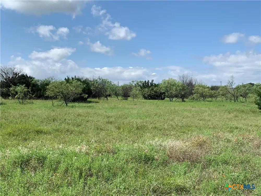 2160 Private Road 42110 Evant, TX 76525