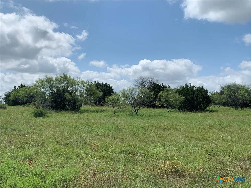 2160 Private Road 42110 Evant, TX 76525