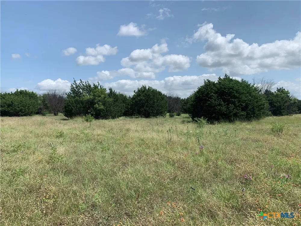 2160 Private Road 42110 Evant, TX 76525