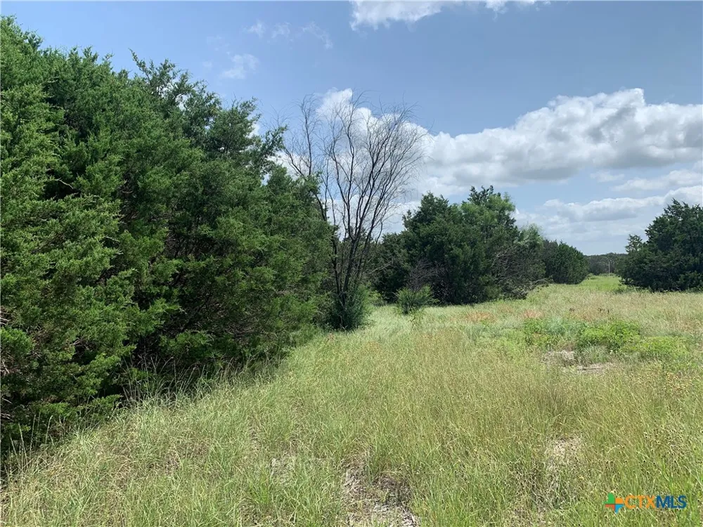 2160 Private Road 42110 Evant, TX 76525
