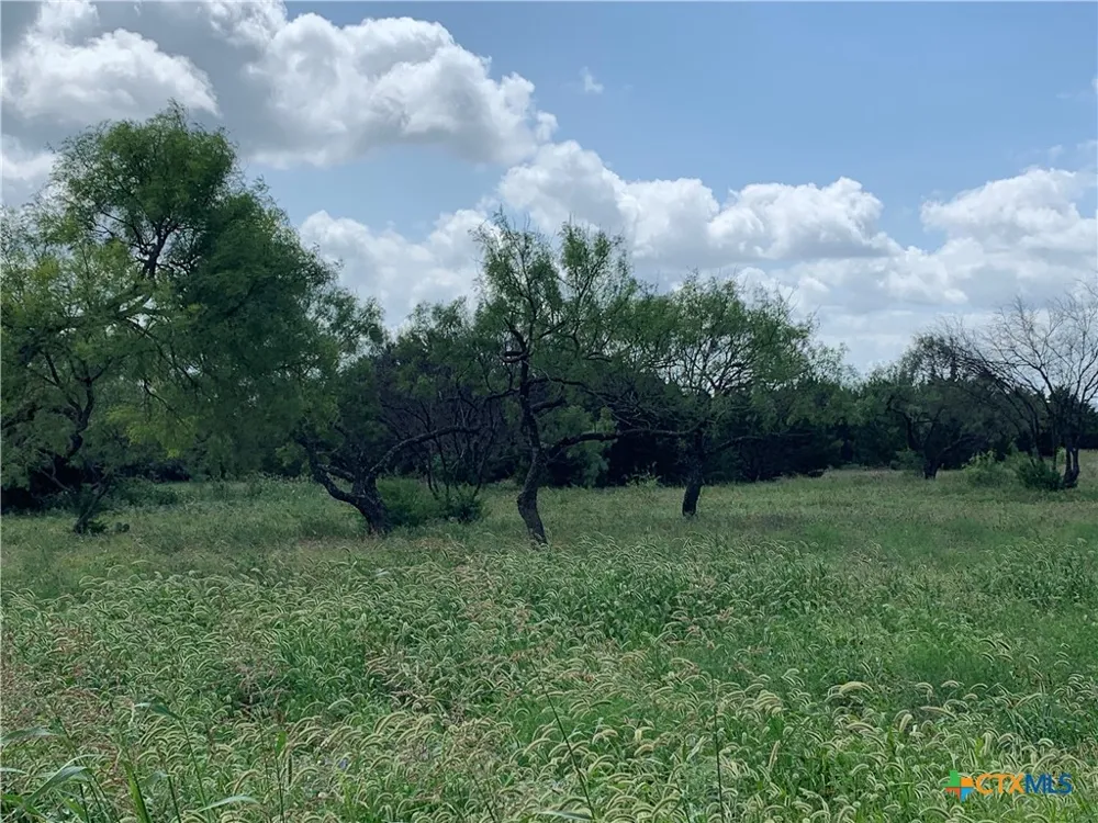 2160 Private Road 42110 Evant, TX 76525