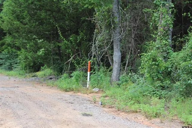 Loop 456 - 14.73 acres Jacksonville, TX 75766
