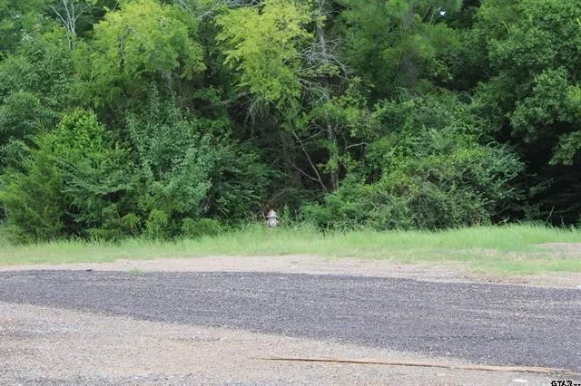 Loop 456 - 14.73 acres Jacksonville, TX 75766