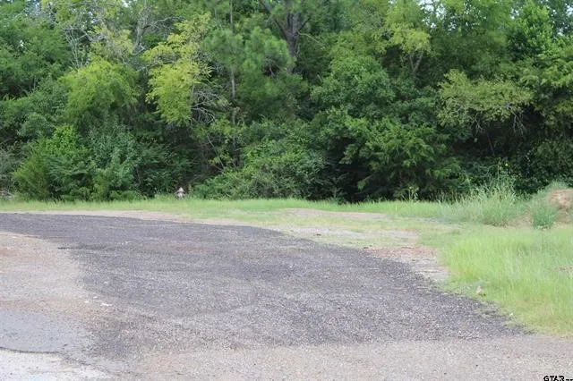 Loop 456 - 14.73 acres Jacksonville, TX 75766