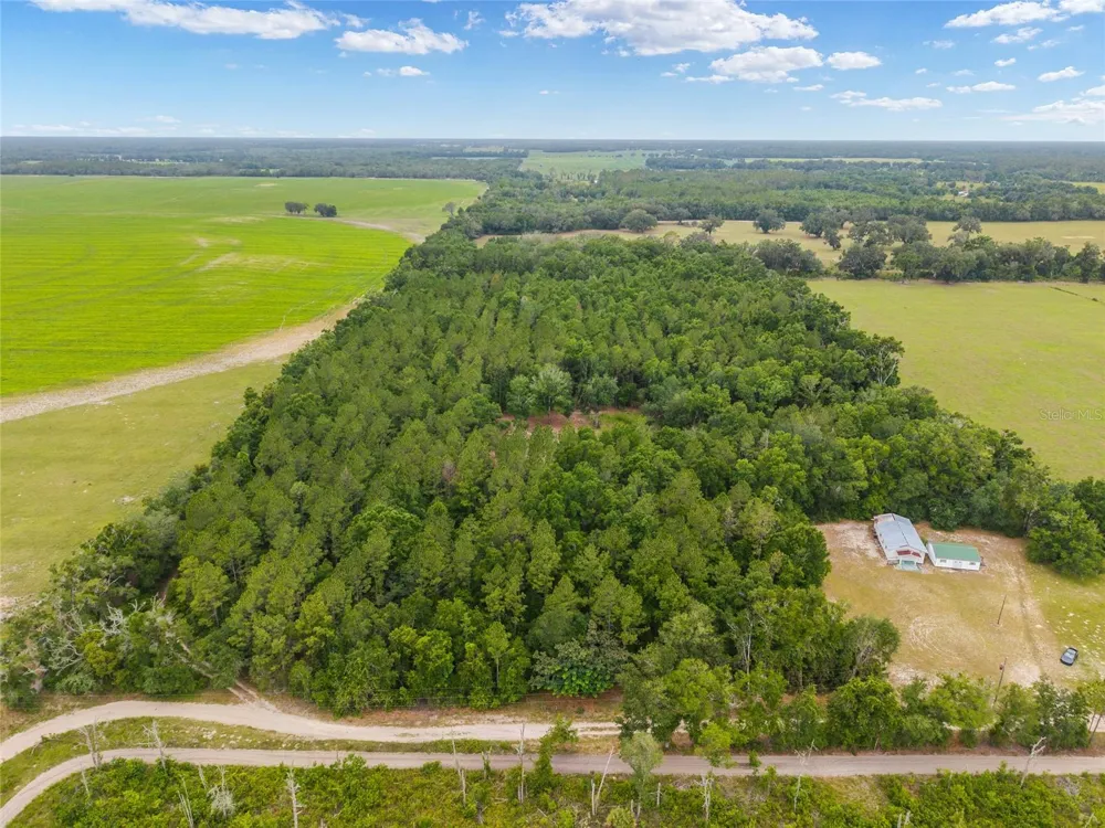 0 SW 234TH STREET Newberry, FL 32669