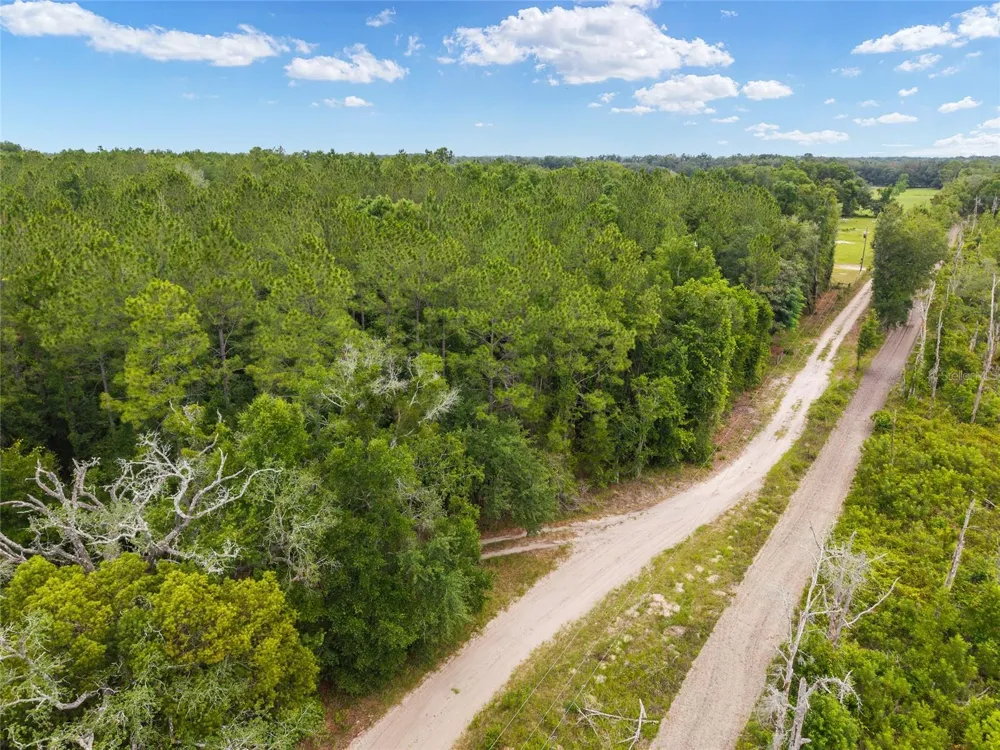 0 SW 234TH STREET Newberry, FL 32669