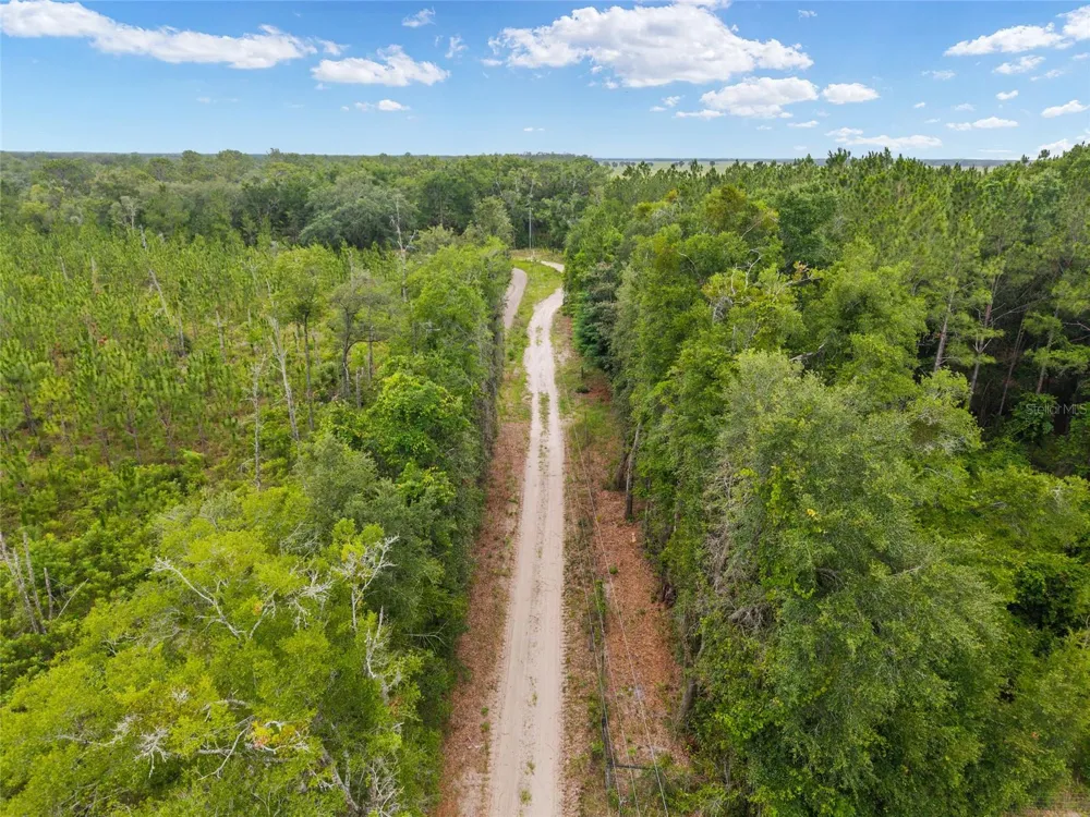 0 SW 234TH STREET Newberry, FL 32669