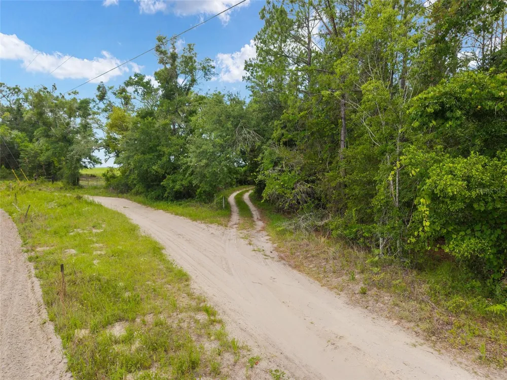 0 SW 234TH STREET Newberry, FL 32669