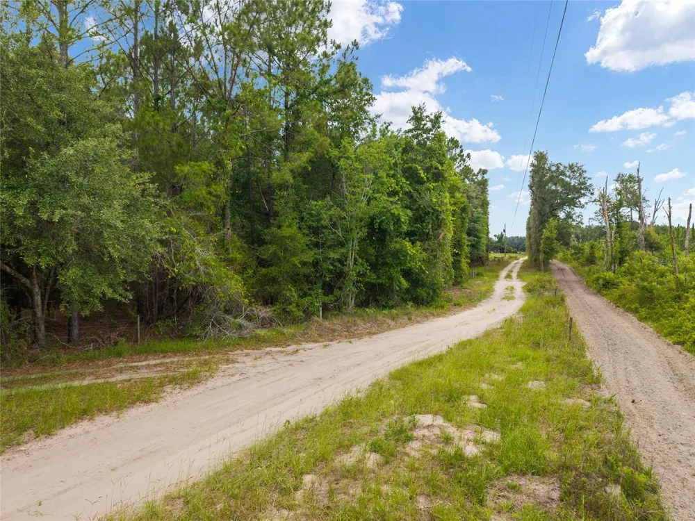0 SW 234TH STREET Newberry, FL 32669