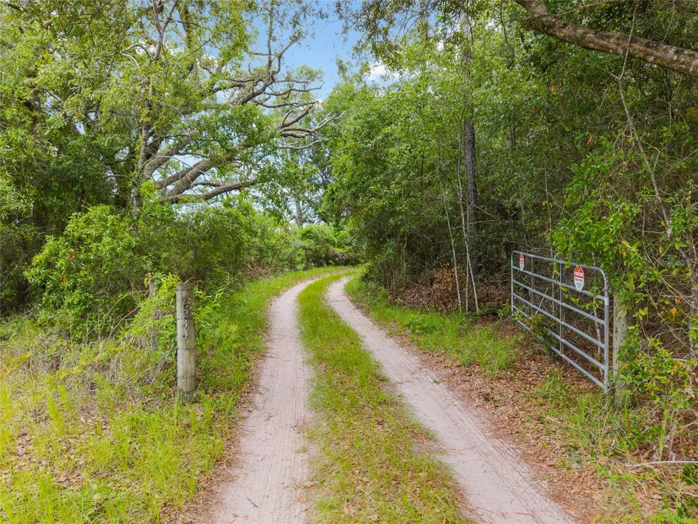 0 SW 234TH STREET Newberry, FL 32669